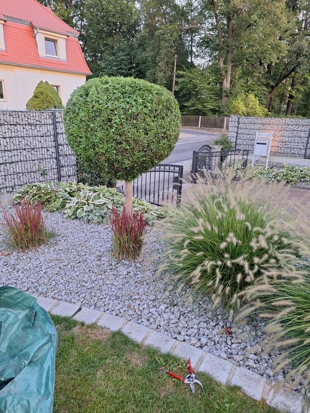 Referenz Gabionen DERsanchez Dresden