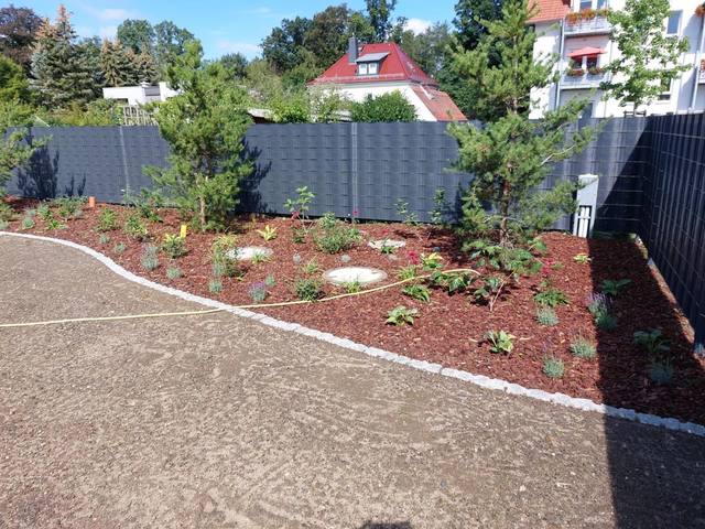 Referenz Garten DERsanchez Dresden