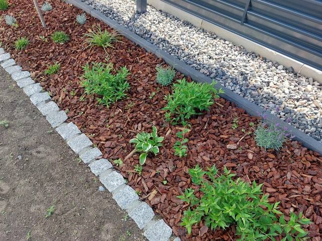 Referenz Garten DERsanchez Dresden