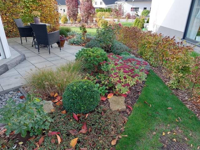 Referenz Garten DERsanchez Dresden
