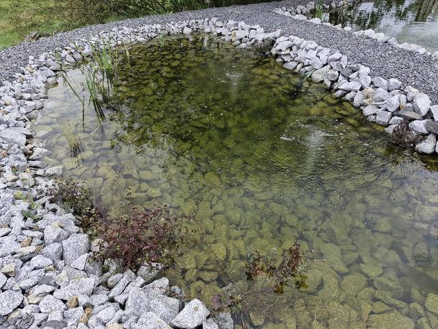 Referenz Pool & Teich DERsanchez Dresden